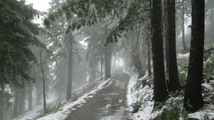 Modern Hiker tweet media