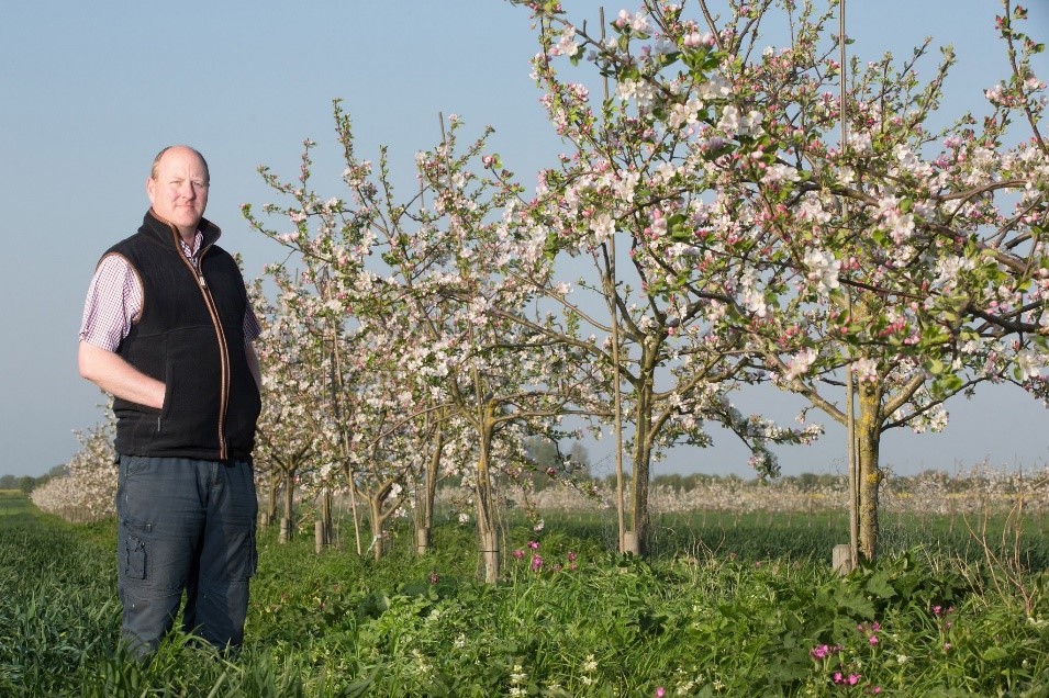 Another fascinating episode is out! We interview Stephen Briggs from Whitehall Farm about his fruit tree and grain intercropping system in the UK. 

LINK HERE: regenerativeagroforestry.org/episodes/episo…

#agroforestry #regenerativeagriculture 
#regenerativeagroforestry #agroecology