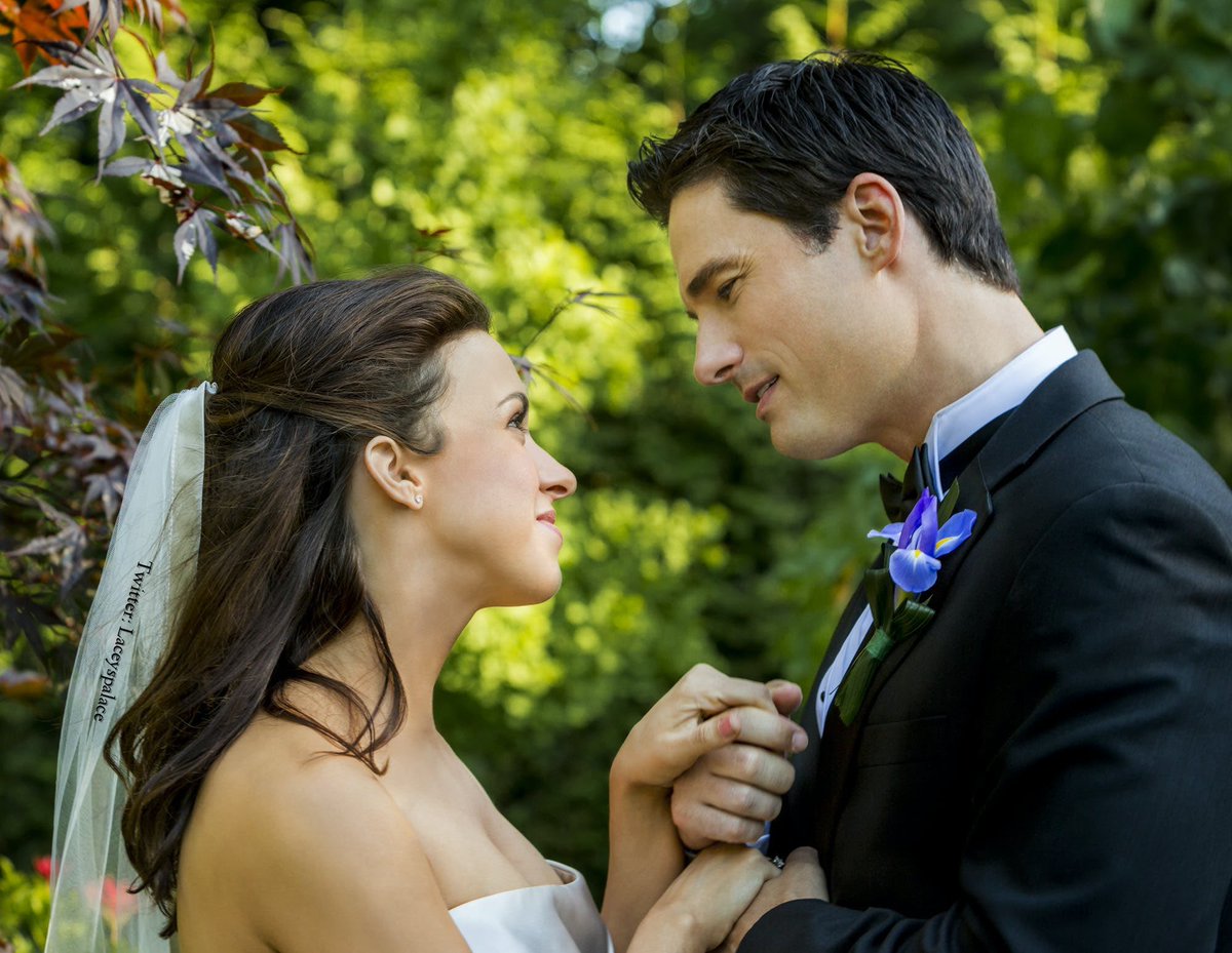 Люторог вов 3. Недар. 3. Недар. Дэвид недар.