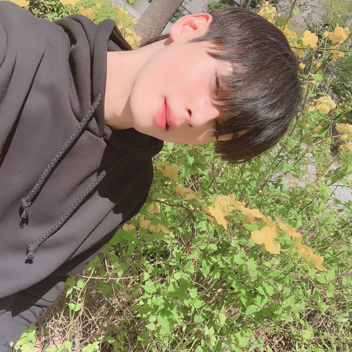 chachaeunu's tweet photo. pretty pink lips https://t.co/MkOgvezIWU