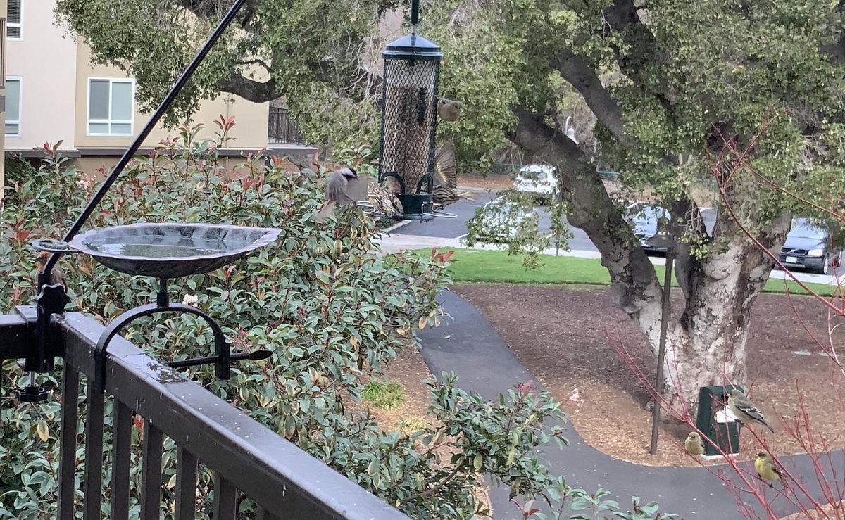 worms cited tweet media