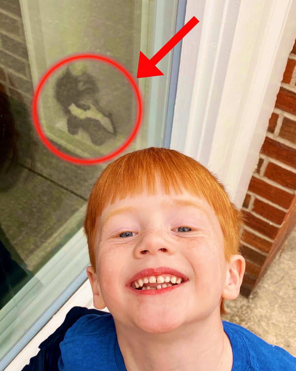 Went hunting around #MaryvilleTN for a #skunk named “Fresh Baked Bread.” Yes, you read that correctly. <a href="/SHSmokies/">SamHoustonElementary</a> <a href="/HayleyABL/">Hayley Lynn</a> <a href="/CCutter/">Casey Cutter</a> 🦨 🐻