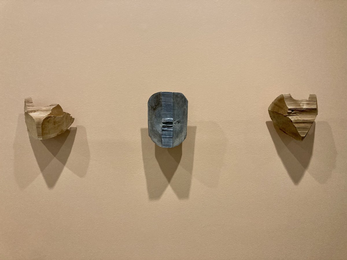 VanArtGallery's tweet photo. What do these found cedar off-cuts remind you of? Come in from the rain to experience #UncommonLanguage and take a closer look at these found sculptures by #SonnyAssu!
Book tickets at https://t.co/iWEjW8OKdd https://t.co/ShEyhYqau5