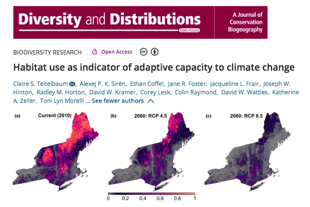 Kathy Zeller, PhD 🐾 (@kzeller) on Twitter photo New paper led by @cs_teitelbaum with @alexejpksiren <a href="/ecoffel/">Ethan Coffel</a> et al.
Habitat use as indicator of adaptive capacity to climate change.
Our results suggest that there will be significant shifts in #moose distribution in the NE U.S. due to climate change.
onlinelibrary.wiley.com/doi/10.1111/dd… New paper led by @cs_teitelbaum with @alexejpksiren <a href="/ecoffel/">Ethan Coffel</a> et al.
Habitat use as indicator of adaptive capacity to climate change.
Our results suggest that there will be significant shifts in #moose distribution in the NE U.S. due to climate change.
onlinelibrary.wiley.com/doi/10.1111/dd…