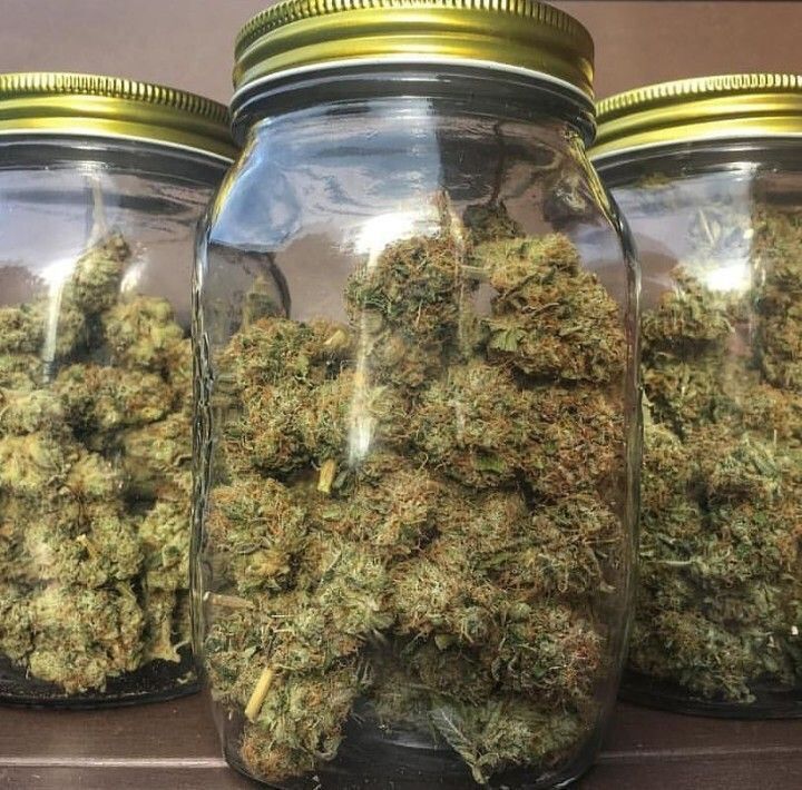 PgCalvin's tweet photo. Disponible dans plusieurs localités
🌿👉
Snapchat:  https://t.co/iDfxoRVDgt

#photos #Normandie #France #Nantes
 #Nanterre  #weed #beuh #shit #cocaine #drogue #Paris #Nantes #Toulouse #bordeaux #Nice06 #Marseille #Rennes #Lorient #Quimper #rap #lorient #PSG #ps5restock #citation https://t.co/hRrh8G8BIx