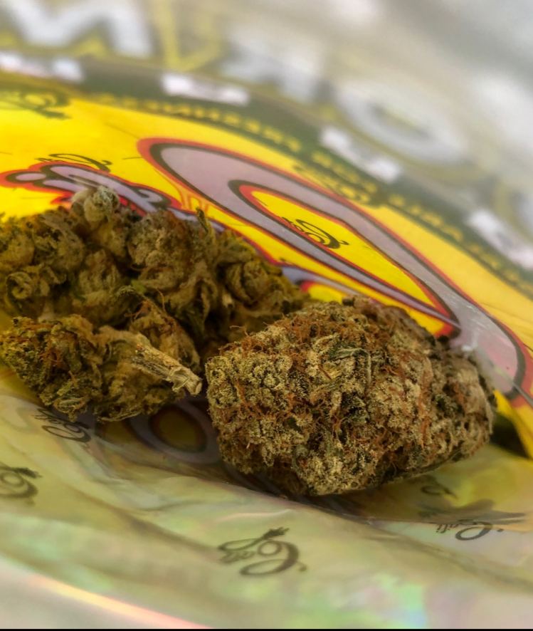 PgCalvin's tweet photo. Disponible dans plusieurs localités
🌿👉
Snapchat:  https://t.co/iDfxoRVDgt

#photos #Normandie #France #Nantes
 #Nanterre  #weed #beuh #shit #cocaine #drogue #Paris #Nantes #Toulouse #bordeaux #Nice06 #Marseille #Rennes #Lorient #Quimper #rap #lorient #PSG #ps5restock #citation https://t.co/hRrh8G8BIx