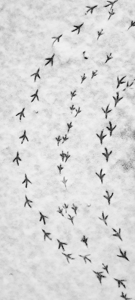 This made me smile this morning...