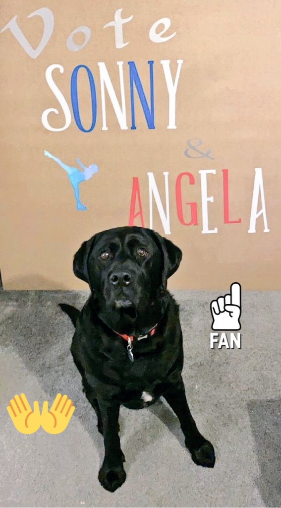 Miss_McNicol_LA's tweet photo. Cooper is prepared for tonight's Dancing on Ice #DancingOnIce #gosonny #sonnyjay @SonnyJay https://t.co/B8UmpOBFx3