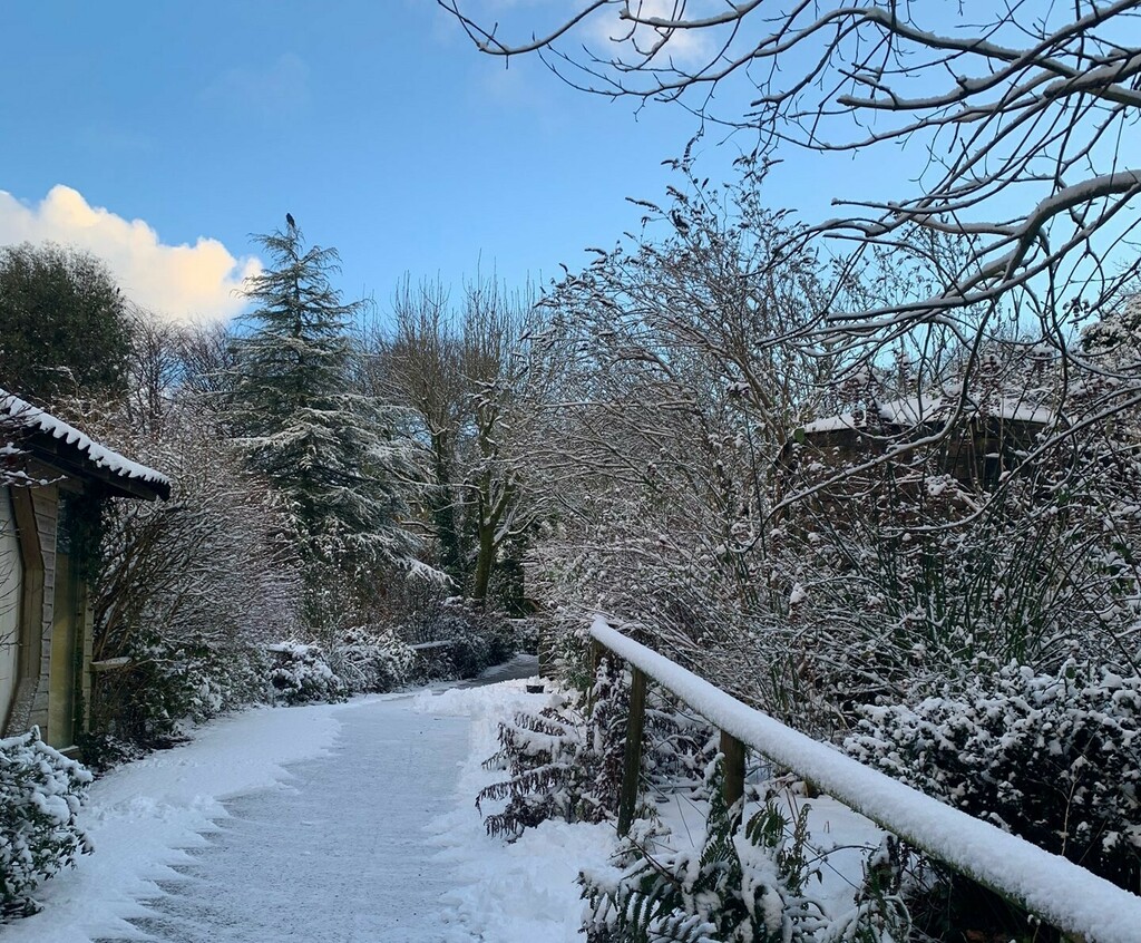 exmoorzoo's tweet photo. ๐จโ๏ธSnow dayโ๏ธ๐จ
Well itโs been an interesting day for our keepers, it snowed, it hailed, it went foggy, snowed a bit more and then snowed some more!
#snow #snowday #animalsinsnow #lockdown #animals #keepers #keepsafe https://t.co/VCRHWAptOP https://t.co/f7aCEmkFsA