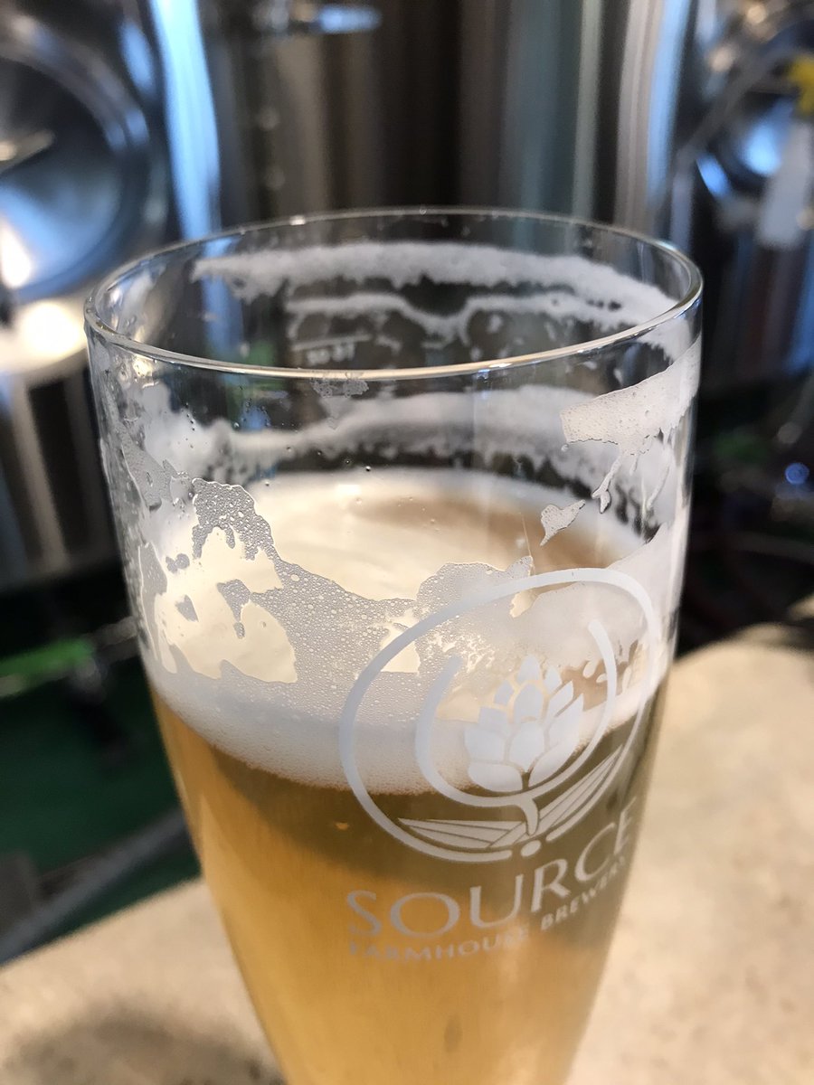 This Source Brewing Tricolore Italian Pilsner was insanely good! Check out the head on the first pic, and the lacing on the second! #sourcebrewing #tricolore #italianpilsner #crisplager #drinkfromthesource #citrusy #lacing #podcast #thelagerroom