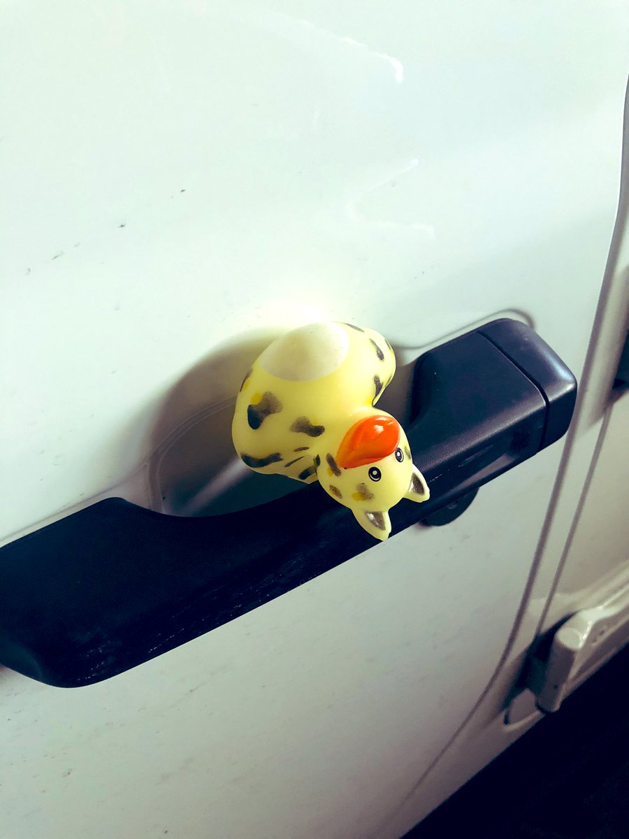 Double #duckduckjeep. Both of our Rubis (2013 and 2019) duckducked while parked next to each other in Bethel, CT.  #jeep #jeeplife