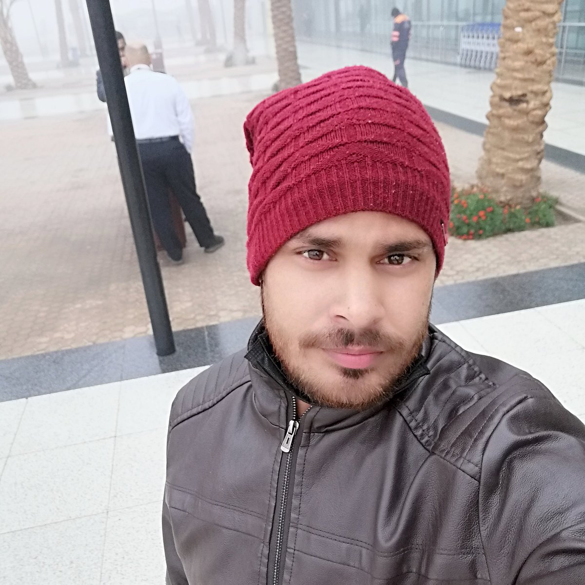 HaseenHasan's tweet photo. So very cool 🥶 https://t.co/qPr7I280Zv