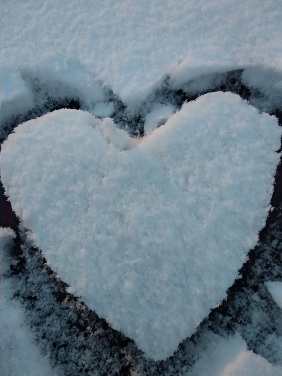 The Pay It Forward Enterprise CIC tweet media