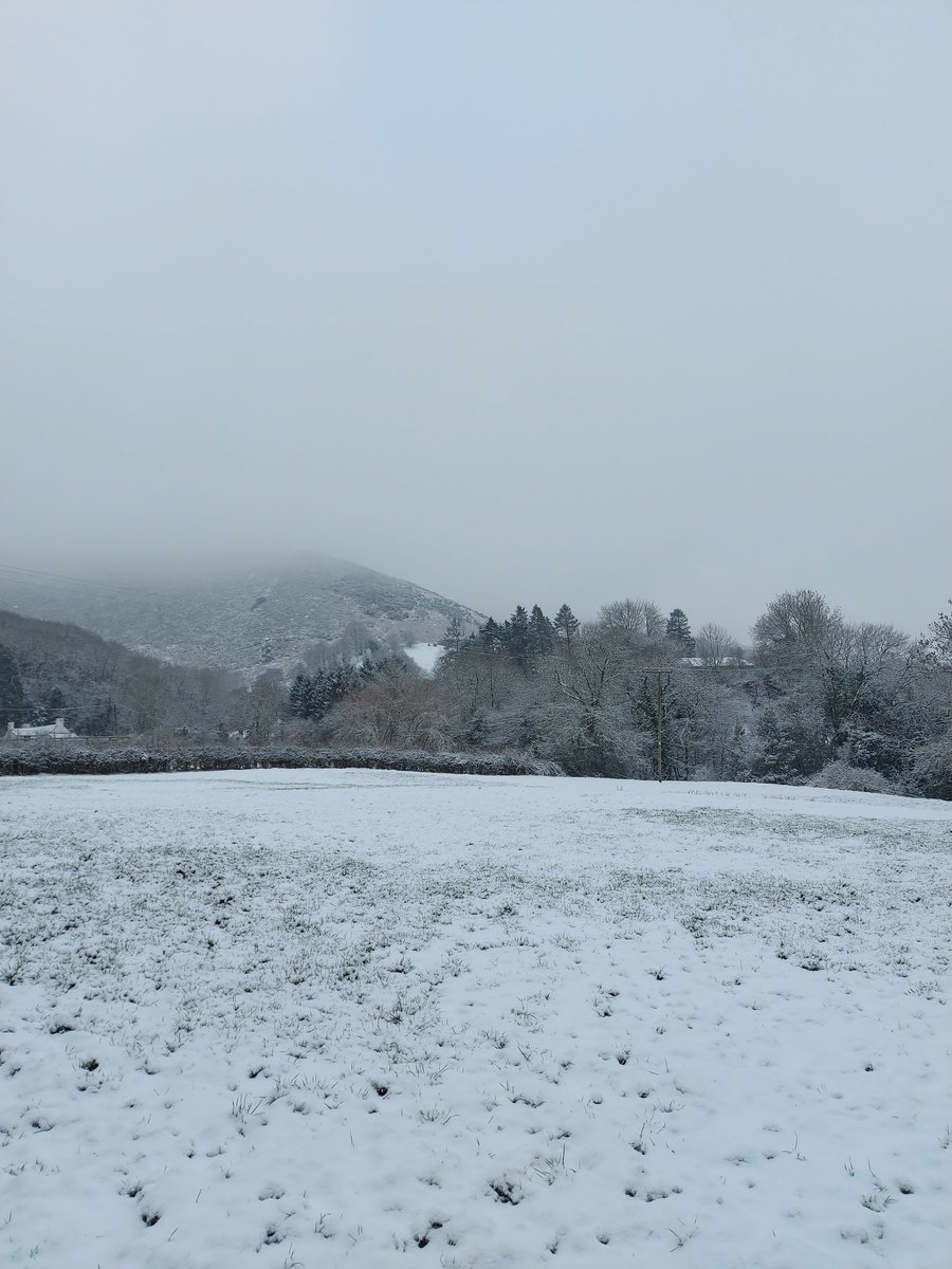 Laura Graham tweet media