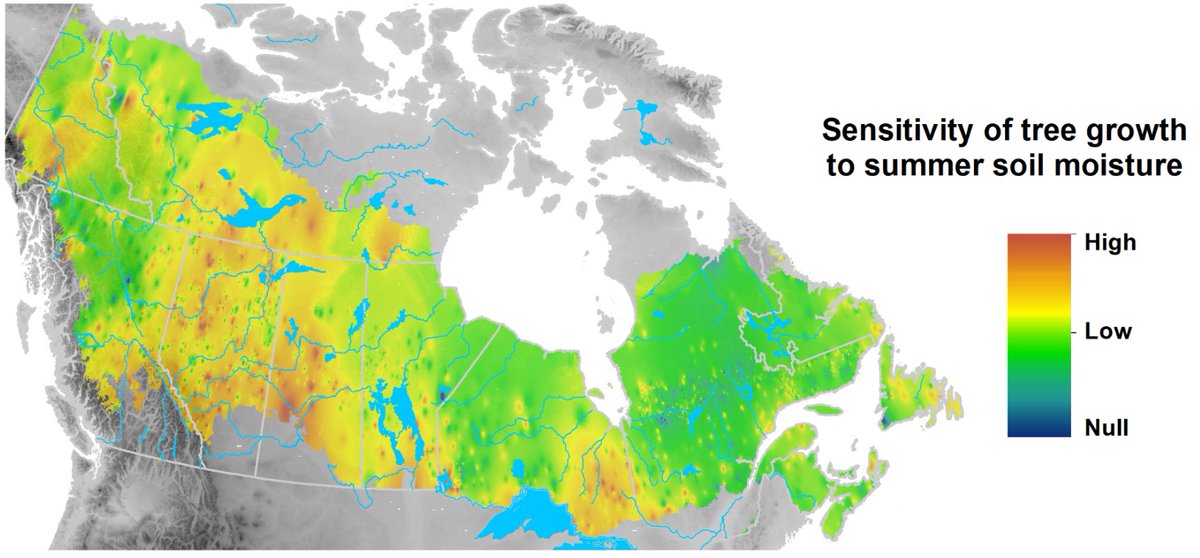 GirardinMartin's tweet image. New National Tree-Ring Data shows the extent of summer drought impacts on growth of Canada&apos;s forests: Env. Reviews doi.org/10.1139/er-202…