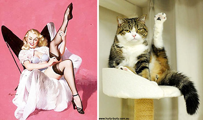 More pinup cats...