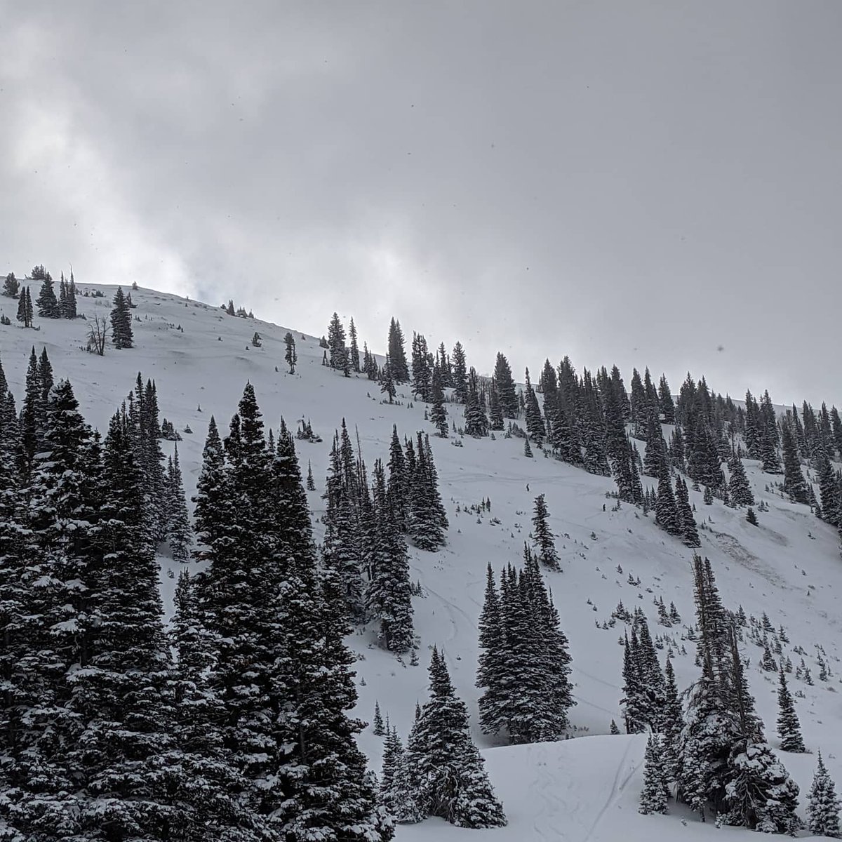 eric_hoffman's tweet photo. Was a hell of a nice first run down High West.
#thankspatrol #thanksmothernature #parkcity #finallywinter https://t.co/yOH192tzPb