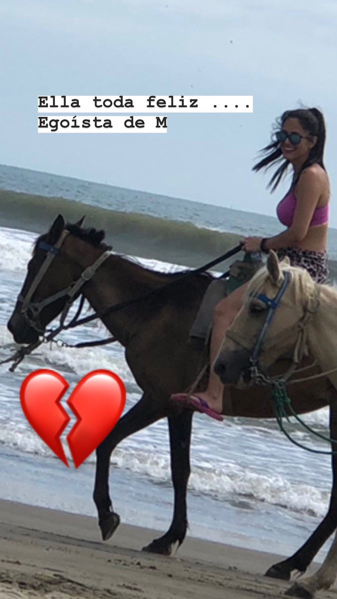 sandraIdrovoH's tweet photo. Estudia para que no creas que cargar a gente en los lomos de los caballos es un trabajo https://t.co/asVwbJv53H