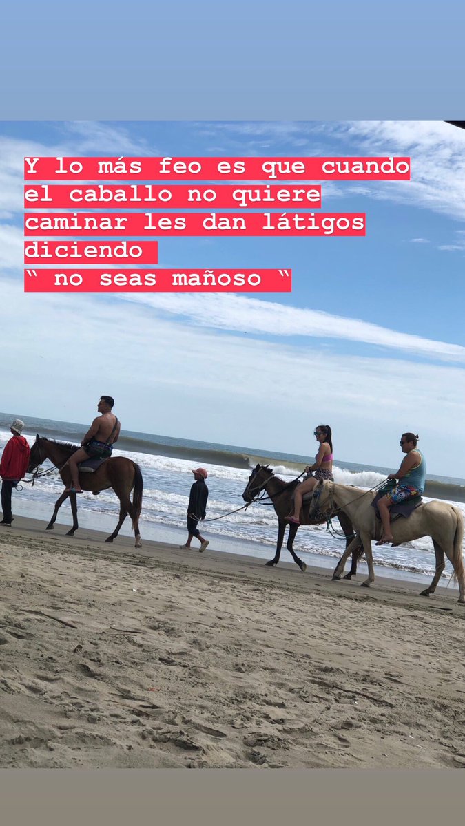 sandraIdrovoH's tweet photo. Estudia para que no creas que cargar a gente en los lomos de los caballos es un trabajo https://t.co/asVwbJv53H