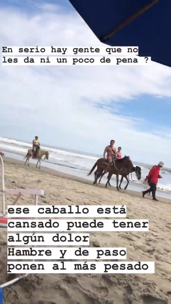sandraIdrovoH's tweet photo. Estudia para que no creas que cargar a gente en los lomos de los caballos es un trabajo https://t.co/asVwbJv53H