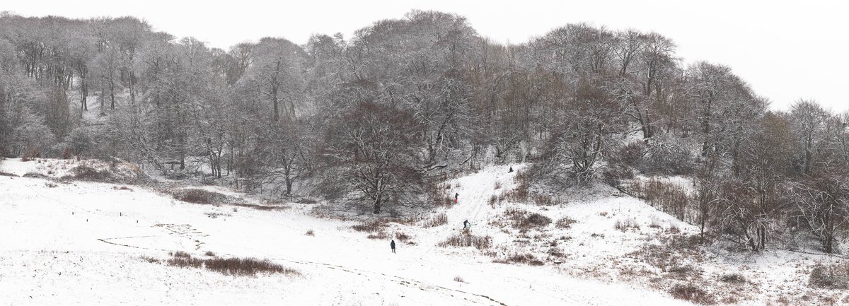 InKPhotography1's tweet photo. Finally had some snow in Risborough, so thought I'd better try and make use of it - a 4 hour trek around the local area was an absolute joy but photo opportunities were pretty limited - great to be out with the camera again, though. #snow #princesrisborough #landscapephotography https://t.co/EM3YUWOXzw