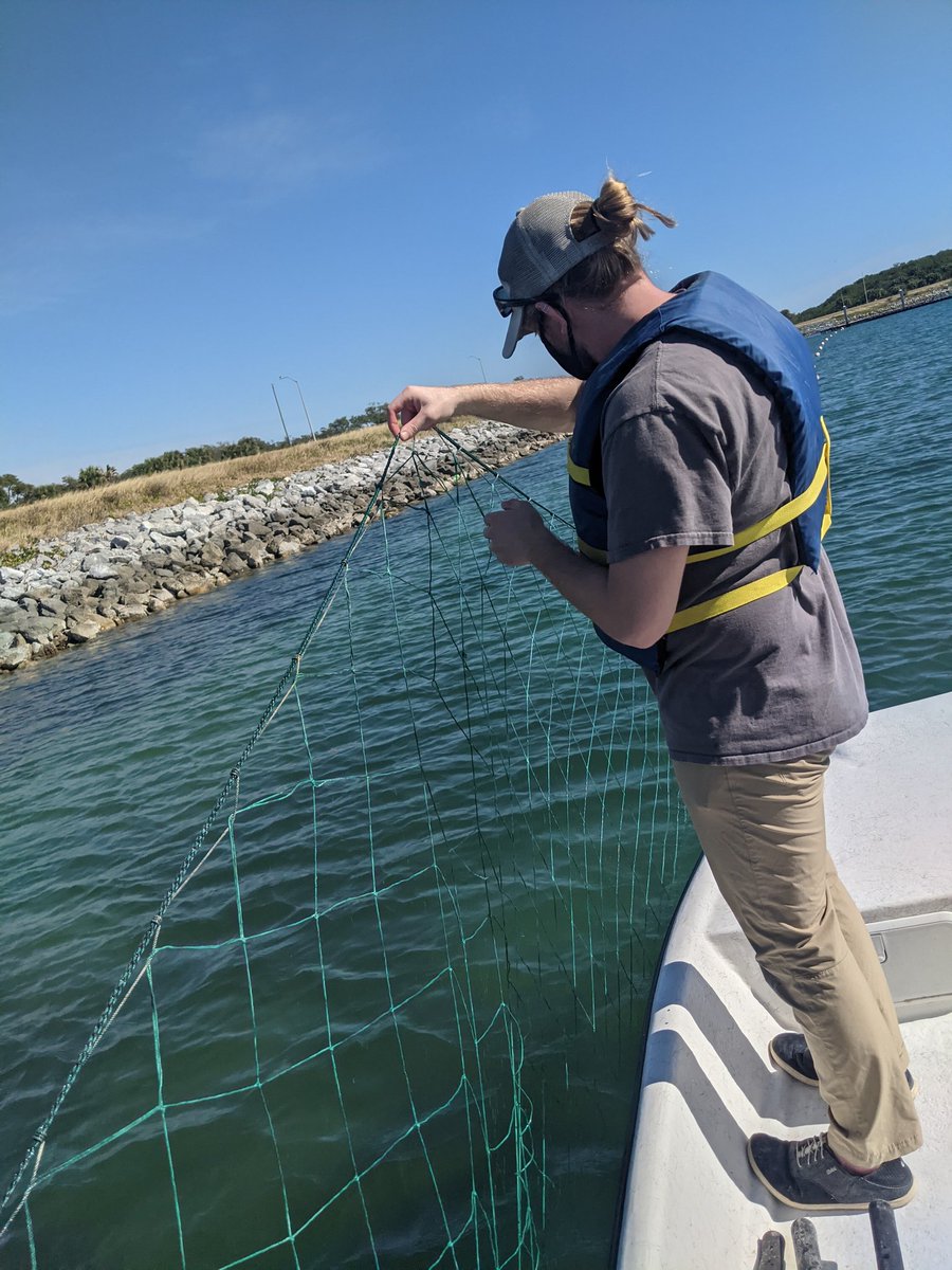 erin_seney's tweet image. Wow, it felt good to get out in the field for the first time in &amp;gt;10 mos. We had a great couple of days sampling at Port Canaveral, FL with a small crew including @UCFTurtleLab, @mattylarsen30, and @TiffDtheTurtle. #UCFTurtleLab #UCFBiology