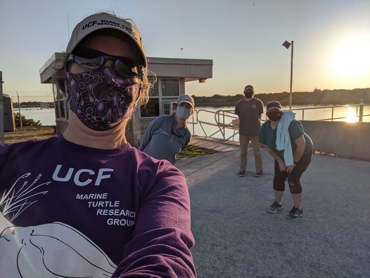erin_seney's tweet image. Wow, it felt good to get out in the field for the first time in &amp;gt;10 mos. We had a great couple of days sampling at Port Canaveral, FL with a small crew including @UCFTurtleLab, @mattylarsen30, and @TiffDtheTurtle. #UCFTurtleLab #UCFBiology