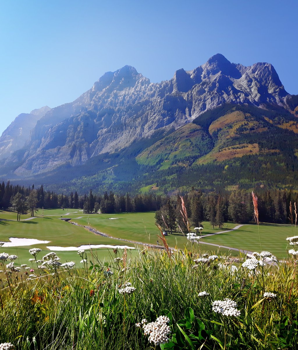 Paul Birnie tweet media