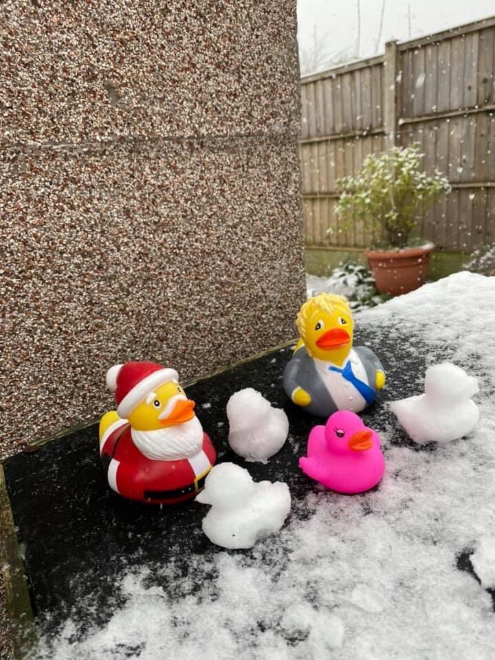 Jess_EL_Chick's tweet image. Why build a snowman when you can make snow ducks?
🦆🦆🦆🦆