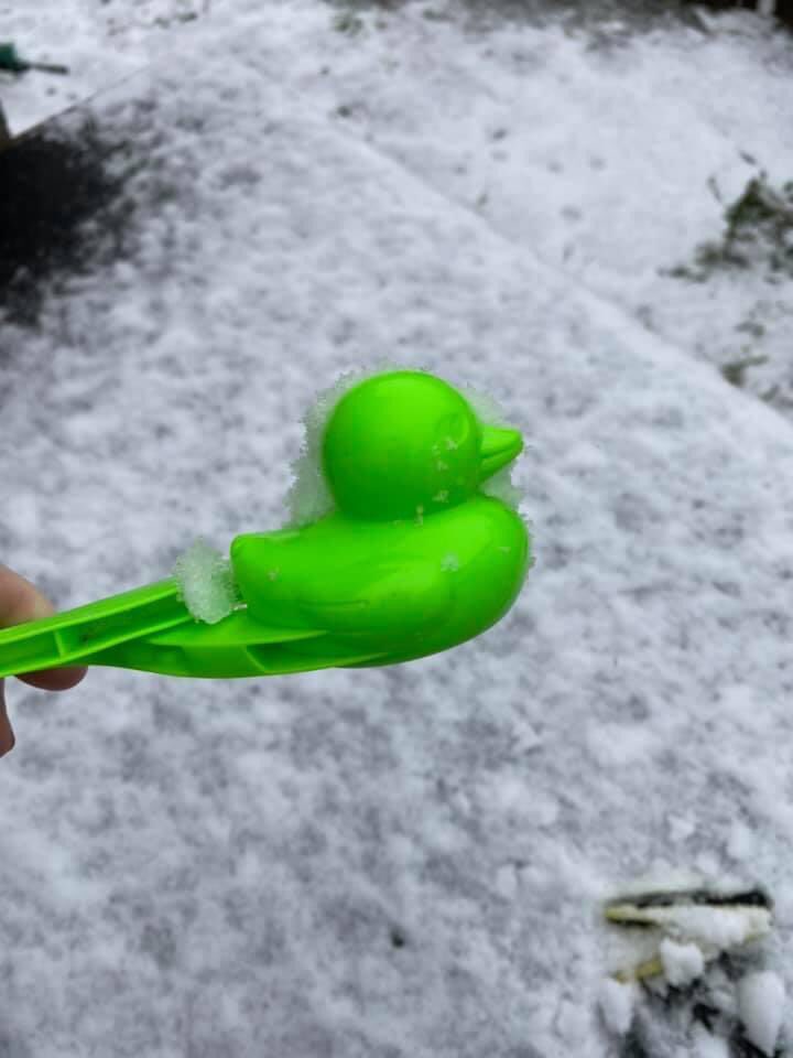 Jess_EL_Chick's tweet image. Why build a snowman when you can make snow ducks?
🦆🦆🦆🦆