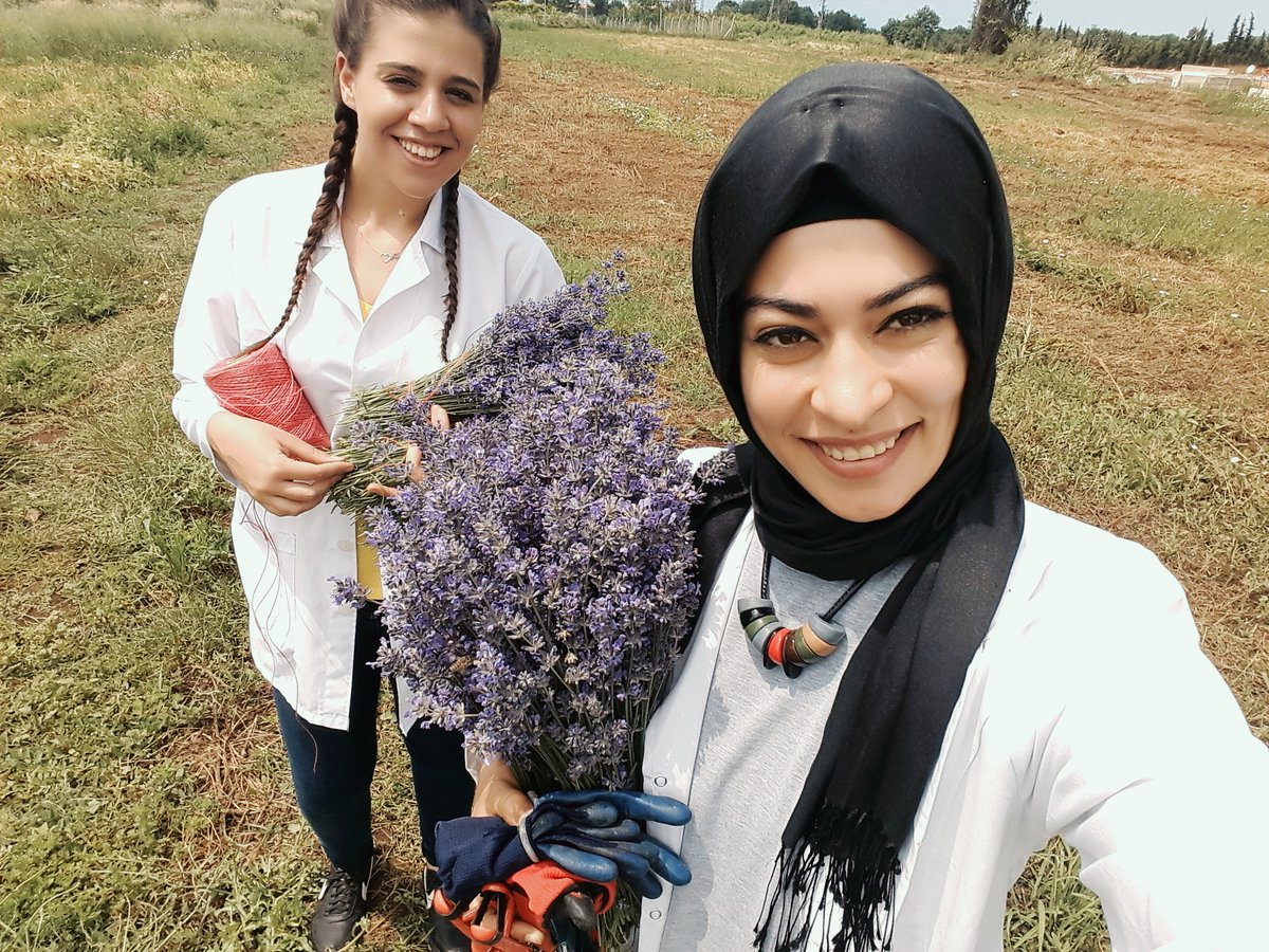 Bizim de lavantalarımız vardı 😊