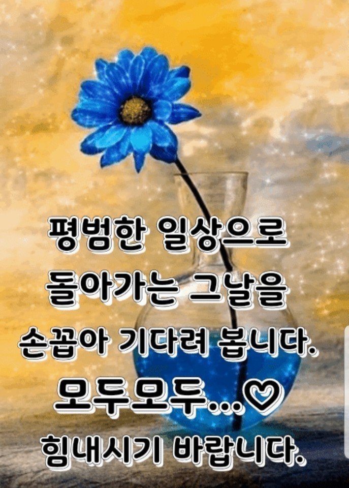 와아니 (@hwe4307) on Twitter photo 