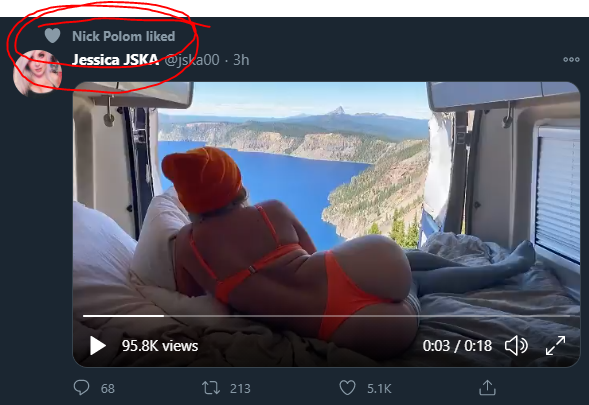 Niklas tweet media