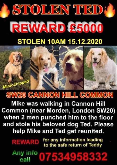 FindTedSW20's tweet photo. Ted is still not home, please share to help bring Ted home #bringtedhome @CraigDavid https://t.co/r93SeCAZgE