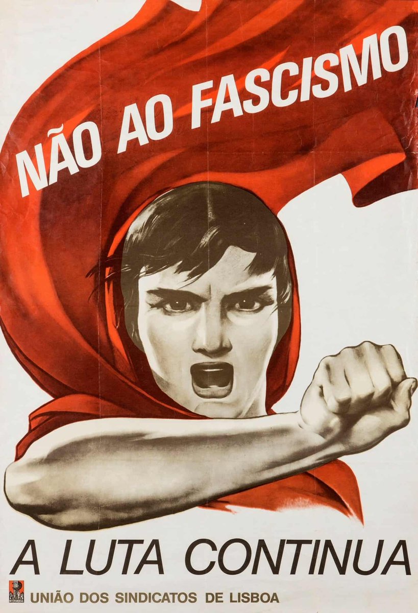 bernardo tweet media