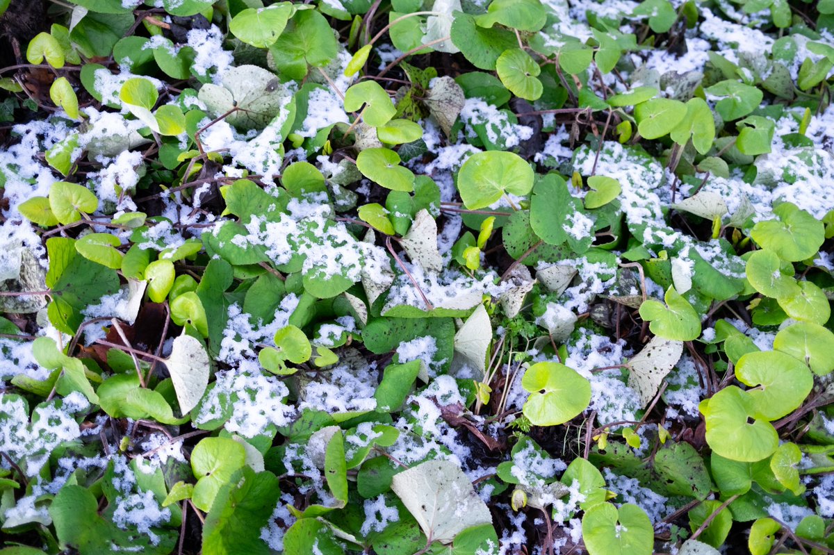 andreoloa's tweet image. Sunday afternoon