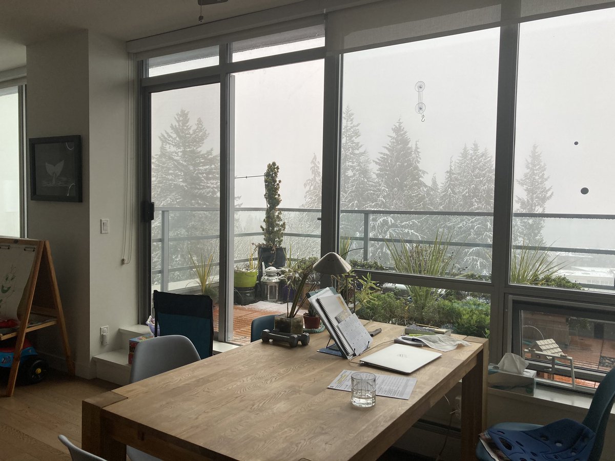 CanceHo's tweet photo. @changepaths @cannexus @CCDFFCDC @pigironjoe @ceric_ca @JenBrowneNL @BarbaraWilson44 @hornjohnhorn @elaynegreeley @CareerProCanada @SareenaHopkins Sending an updated photo one day later. What’s that white stuff falling from the sky that #Vancouver folks are unaccustomed to?! #starkcontrast https://t.co/zdpJFGhnva