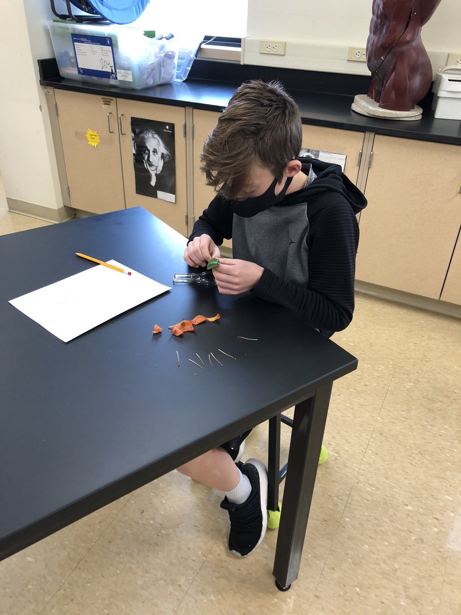 MrTheby's tweet photo. I was nominated by @chaddickemper to post a picture every day from a day in the life of an educator. I will post without explanation and nominate someone else to take the challenge. 7 days. Day 2, and I nominate @golubskim15 https://t.co/PH4uR9oYEH