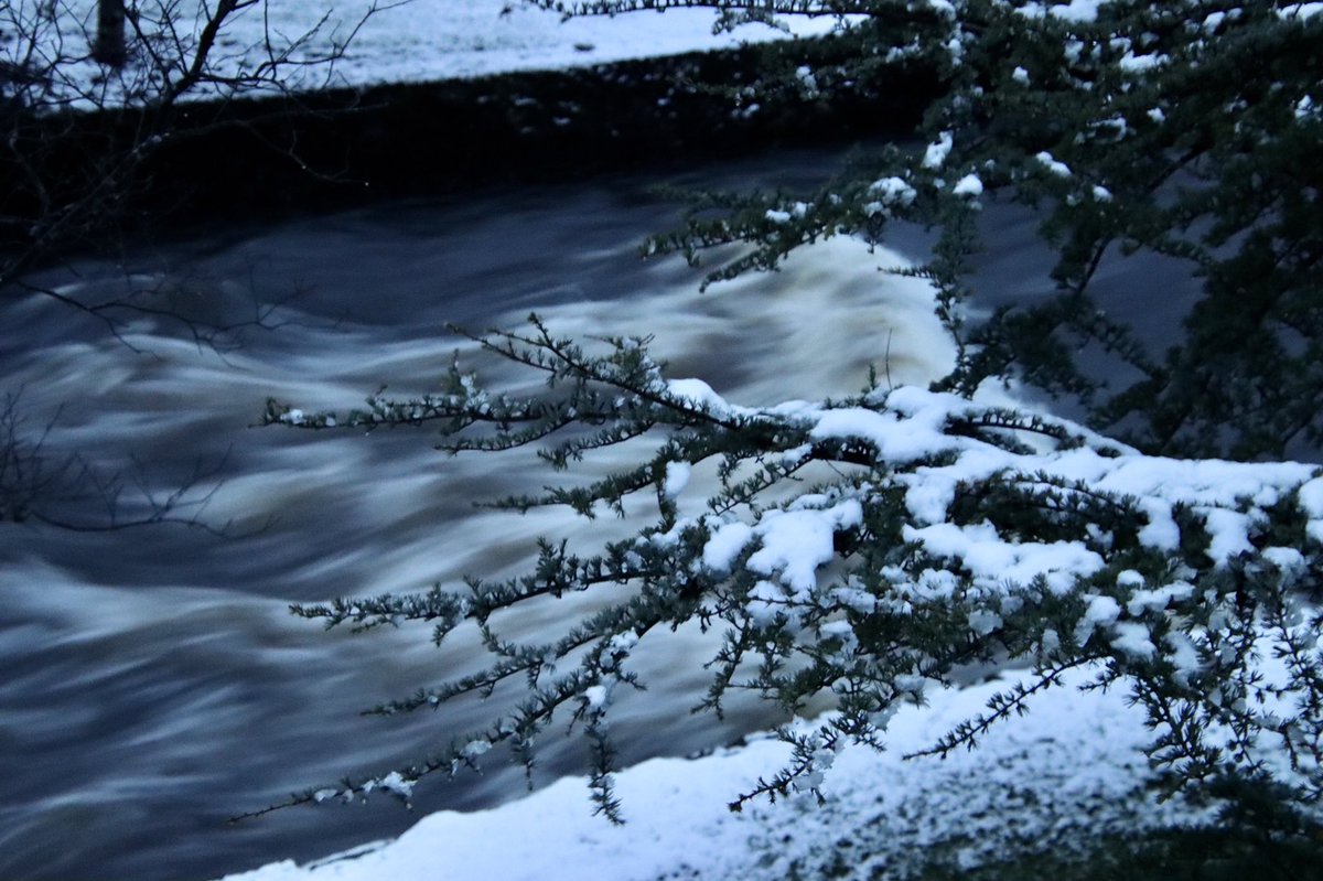 SAOFlaithfhile's tweet photo. Siúlóid na hAbhann, Baile an Mhuilinn. #100daysofwalking #sneachta #Milltown #ClareRiverWalk #earlymorningstroll @aoifemcelwaine @AimsirTG4 https://t.co/rPvO7dyIlc