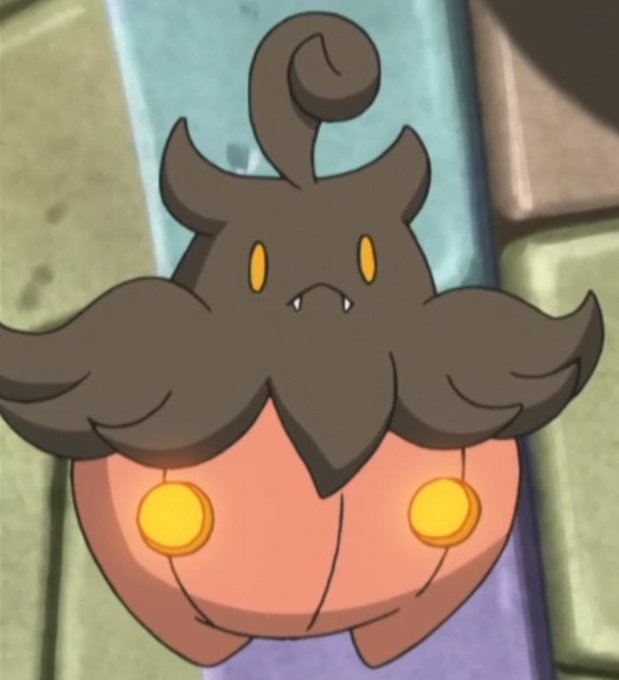 I&rsquo;m playing Pok&eacute;mon shield currently and I&rsquo;m just sharing my two new obsessions from the game, you&rsquo;re
