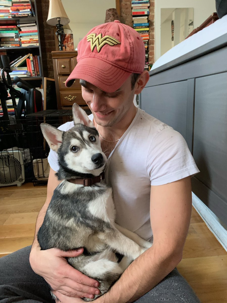 Adam_Armstr's tweet image. Meet River, the newest addition to our little family, and the cutest pup in this godforsaken city 💙💙💙