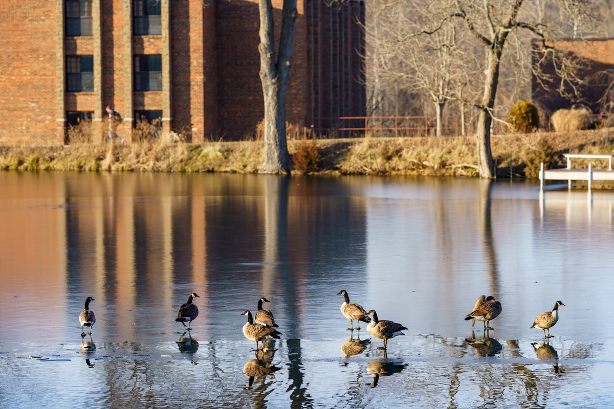 Rose-Hulman tweet media