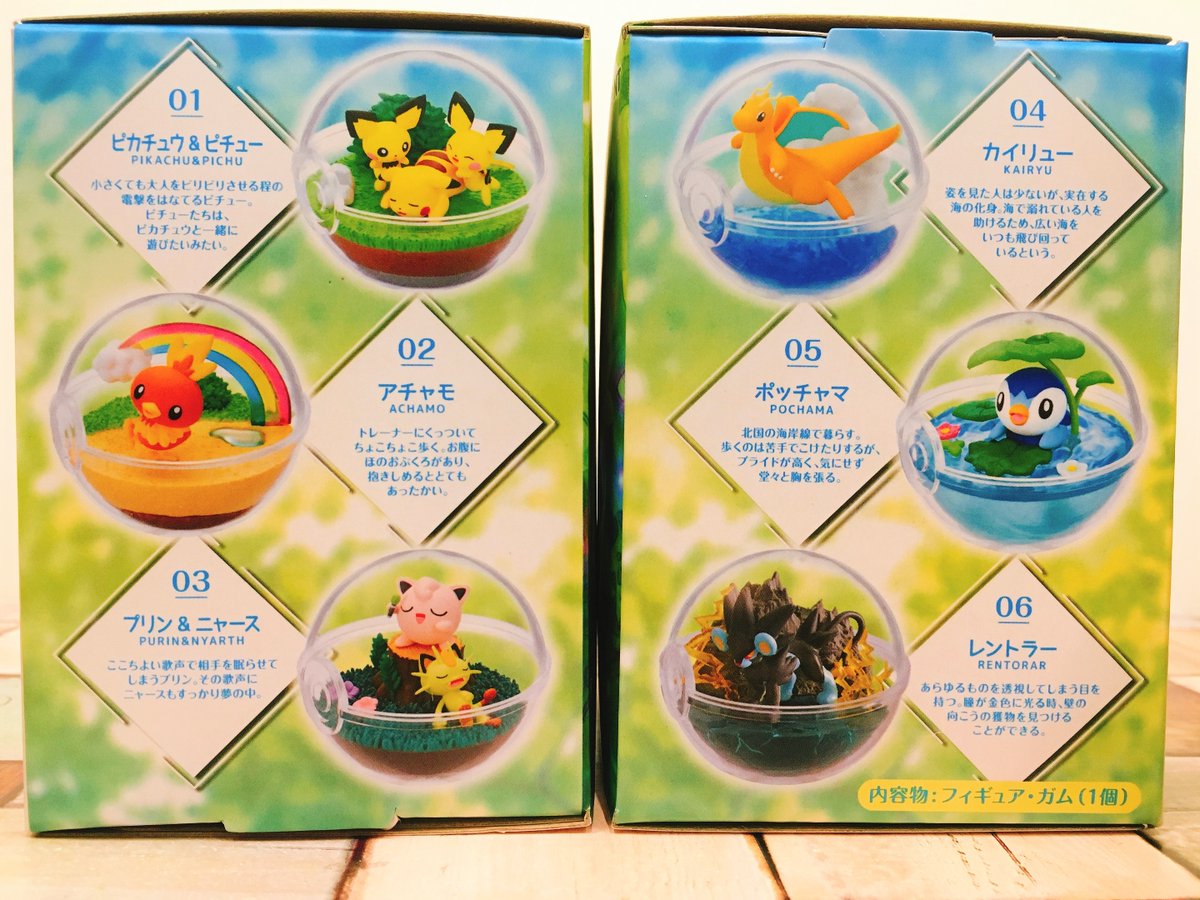 コトブキヤ立川本店 立川本店 新商品 ポケットモンスター テラリウムコレクション9 0込 が販売開始です ポケモンの世界が手のひらサイズに ぜひご利用くださいませ ポケモン コトブキヤ立川本店 立川本店 新商品 ポケットモンスター テラリウムコレクション9 0込 が販売開始です ポケモンの世界が手のひらサイズに ぜひご利用くださいませ ポケモン