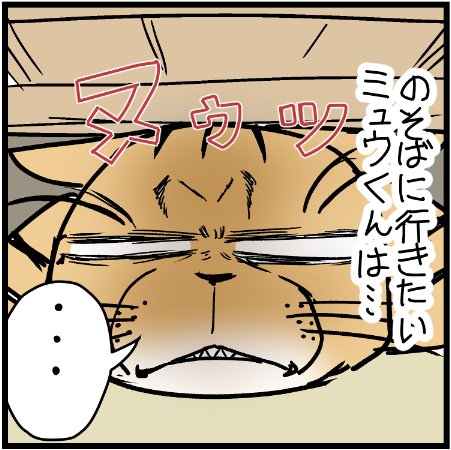 おデブなニャンコの可愛さもたまりません!w
#にゃんこ  #まんが #マンガ #4コマ漫画 #四コマ漫画 #猫 #ねこ部 #ねこ #猫あるある #猫漫画 #ペット #飼い主 #ねこらぶ #エッセイ漫画 #みんねこ #キャット #ねこのいる生活 #猫ばか #にゃんだふるらいふ 