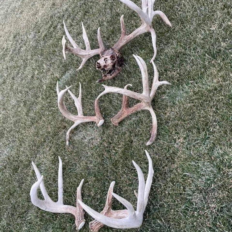 The Lindsey Way tweet media