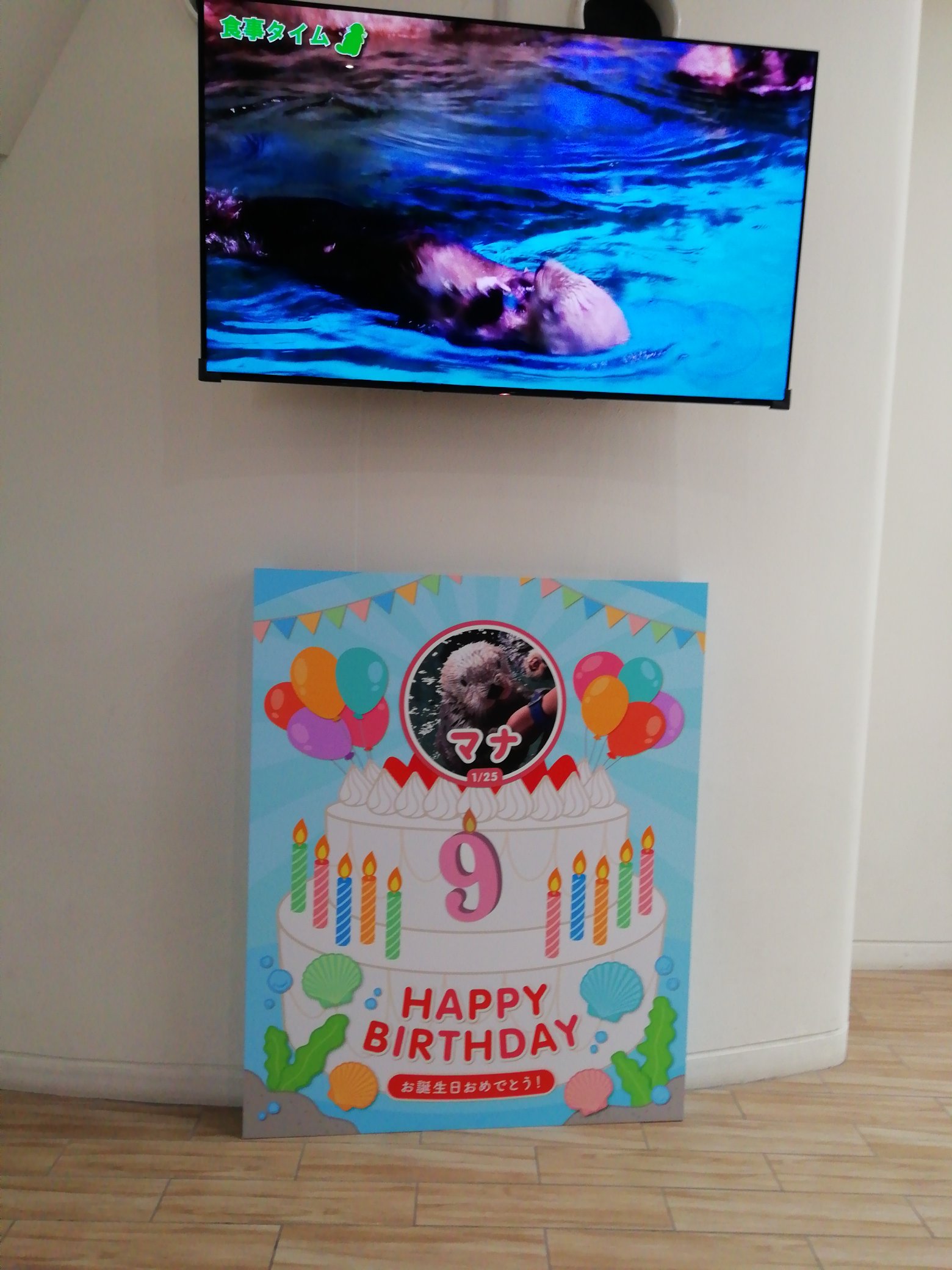 ロフタス 誕生日ケーキはリロに取られるけど 氷は譲らないマナ ラッコ マリンワールド海の中道 T Co Lp30aqmosb Twitter