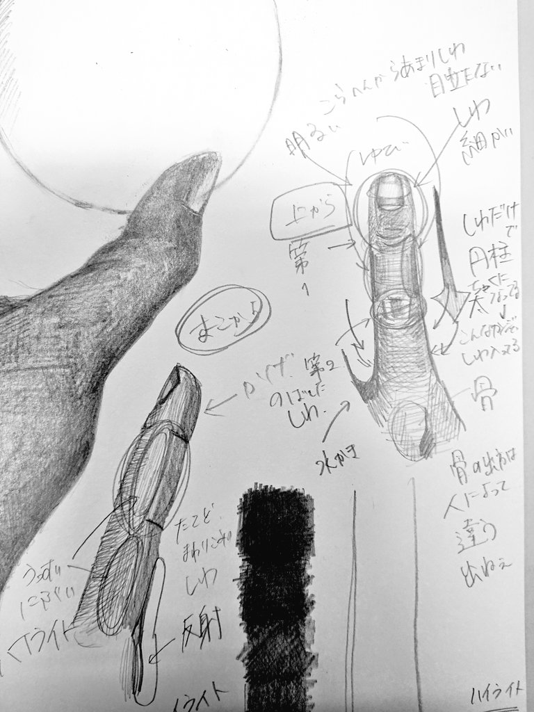 デッサンで手描いててわかんなくなったから自己流図解してんだけどすげーたのしい 