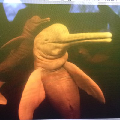 TimM0010's tweet image. #NewProfilePic