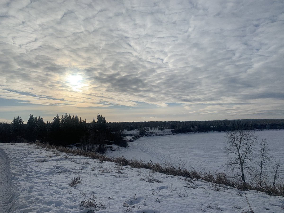 Newsbob's tweet photo. The sun was trying but still cold, Sunday out and about. @TerryAndryo @WineGuyMike55 @tonygmarshall #yyc #coldiness #5kaday https://t.co/BYus1Ul35M