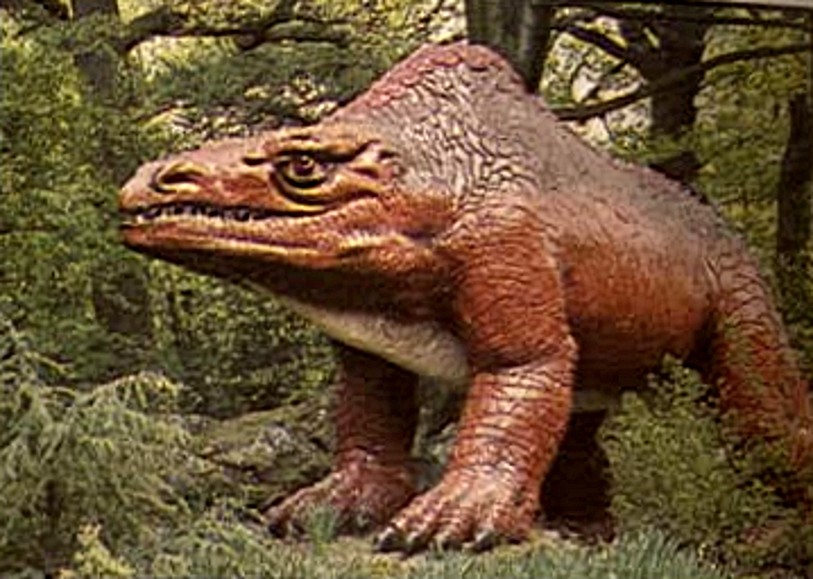 karlshuker's tweet image. Neither did I until yesterday, but it was. Here&apos;s a slightly blurry photo of it in its red phase: